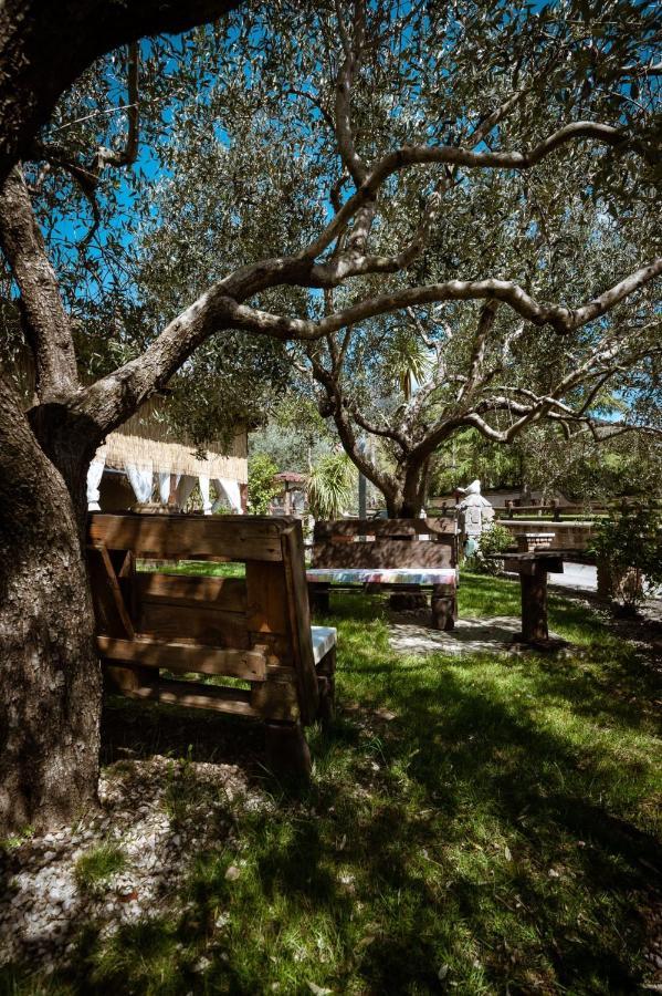 Agriturismo A Casa Di Susanna Santo Stefano del Sole Eksteriør bilde