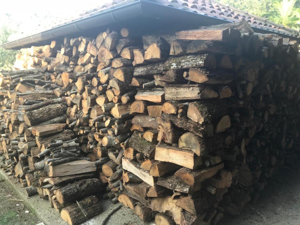 Agriturismo A Casa Di Susanna Santo Stefano del Sole Eksteriør bilde