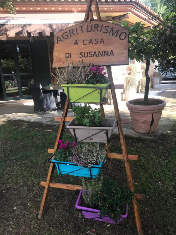 Agriturismo A Casa Di Susanna Santo Stefano del Sole Eksteriør bilde