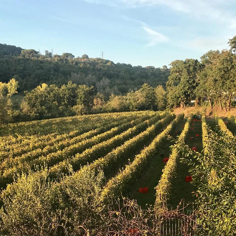 Agriturismo A Casa Di Susanna Santo Stefano del Sole Eksteriør bilde