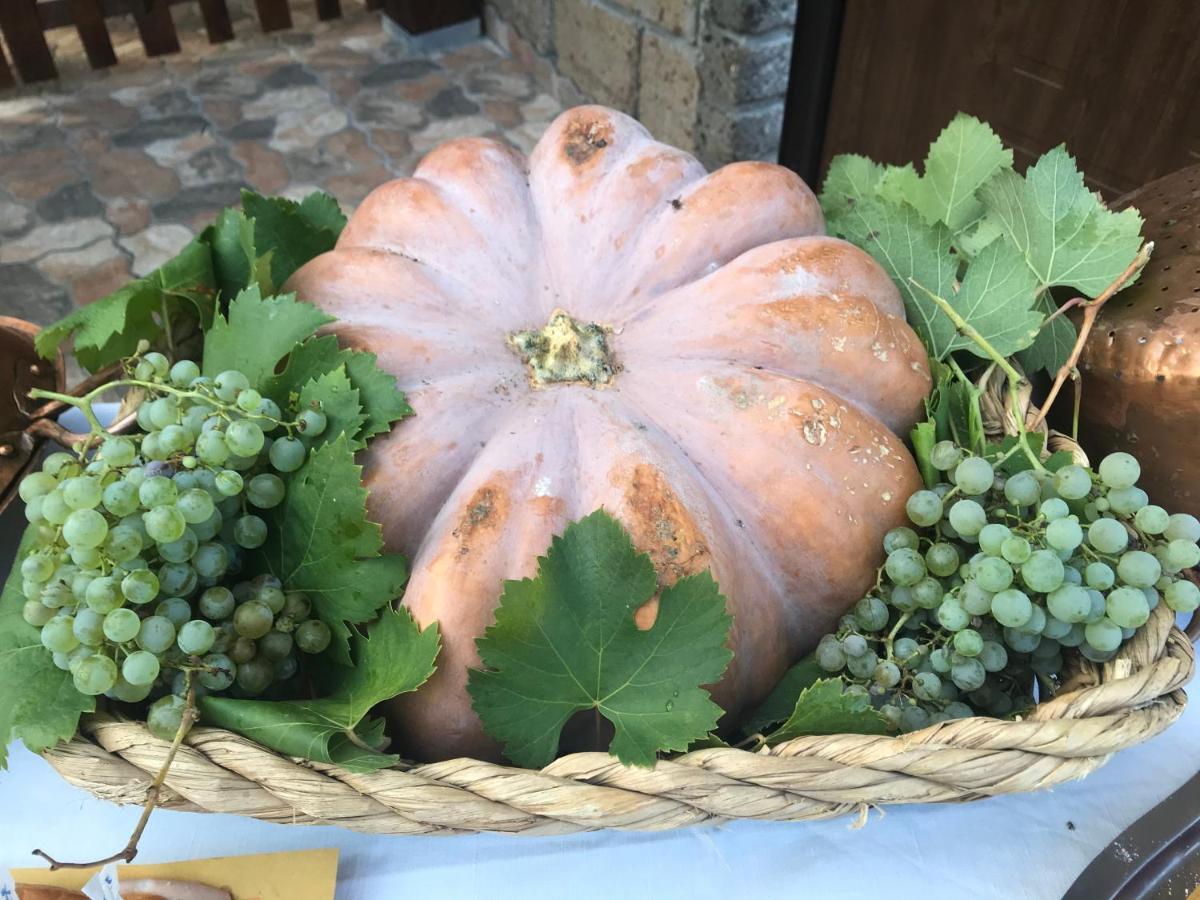 Agriturismo A Casa Di Susanna Santo Stefano del Sole Eksteriør bilde
